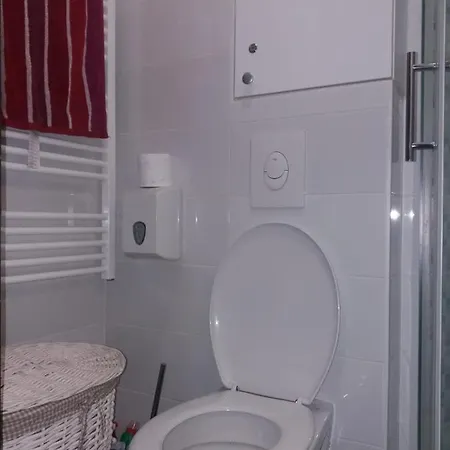 Pahulja Apartman *