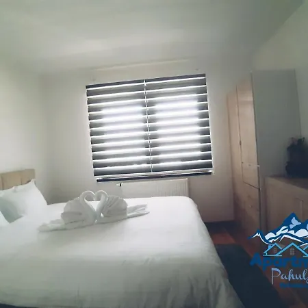 Apartment Pahulja *